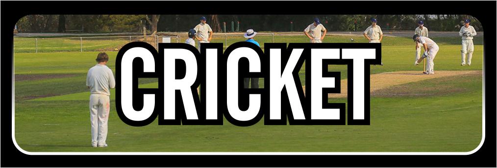 Cricket
